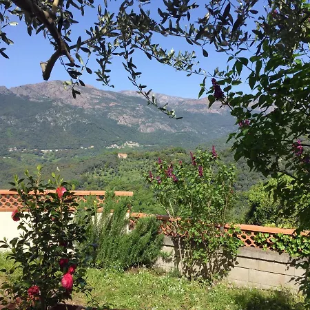 Appartement CASA NEPITA sur vue grandiose à Santa-Lucia-di-Tallano Extérieur photo